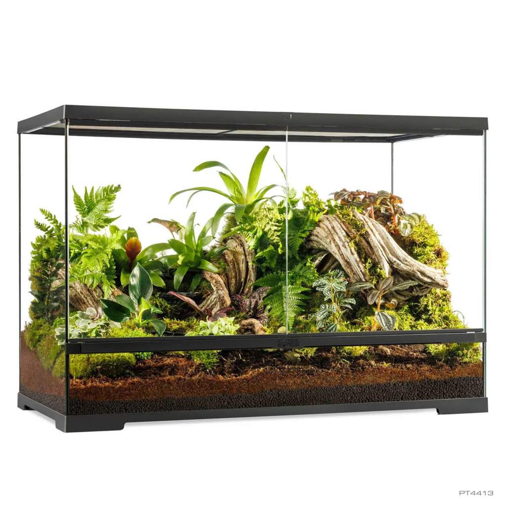Pro Terrarium